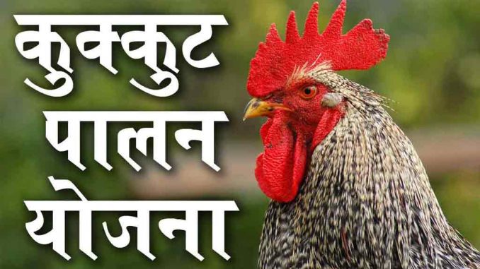 kukkut_palan कुक्कुट पालन योजना क्या है?